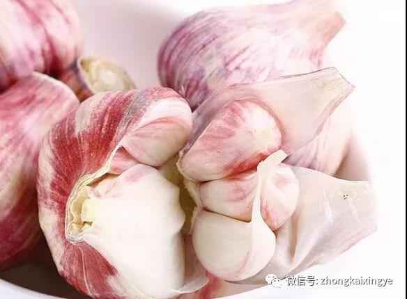 微信图片_20180529092126.jpg 微信图片_20180529092126.jpg