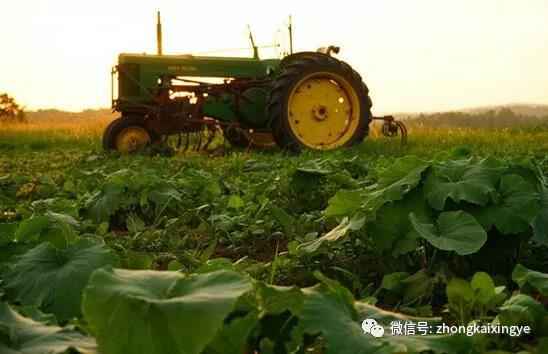 微信图片_20180615173855.jpg 微信图片_20180615173855.jpg