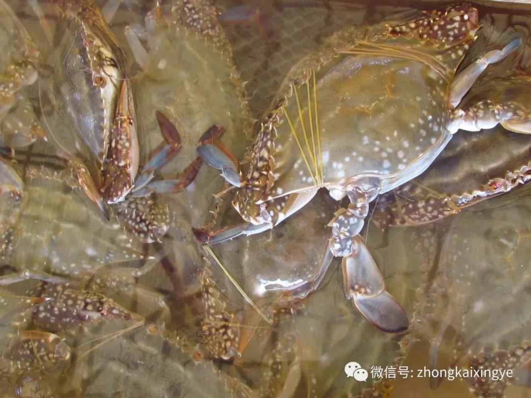 微信图片_20180615174229.jpg 微信图片_20180615174229.jpg