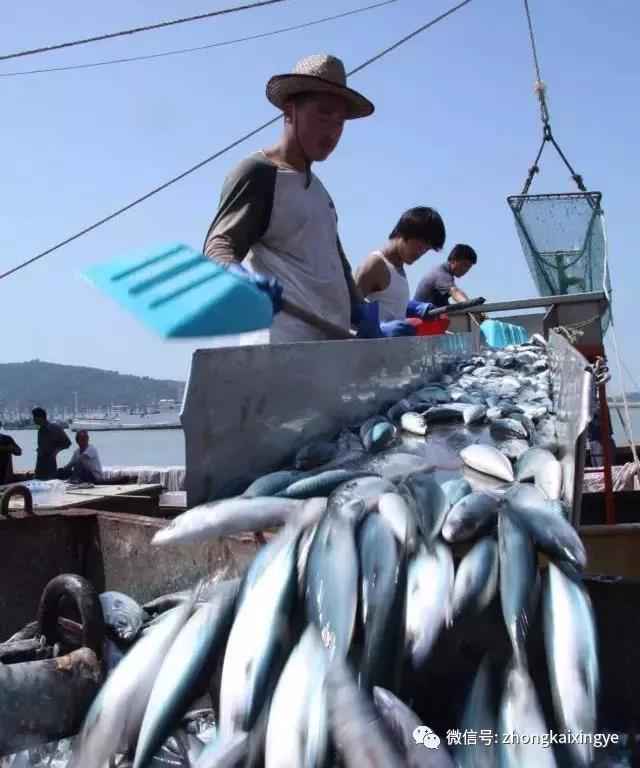 微信图片_20180615174245.jpg 微信图片_20180615174245.jpg