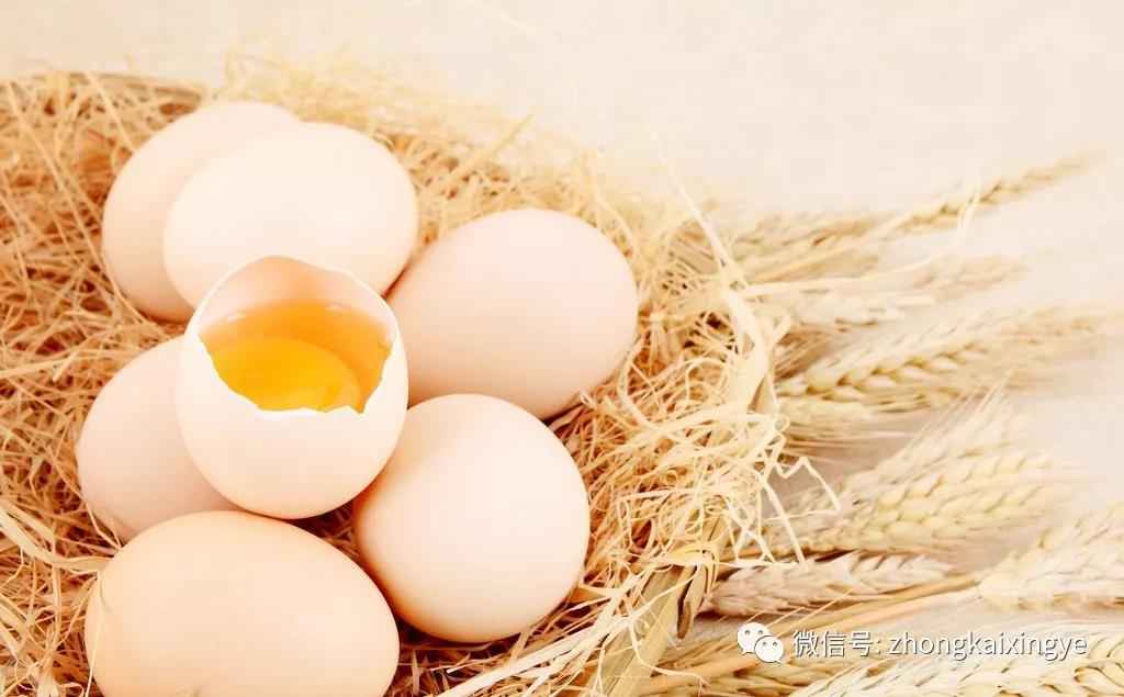 微信图片_20180622170747.jpg 微信图片_20180622170747.jpg