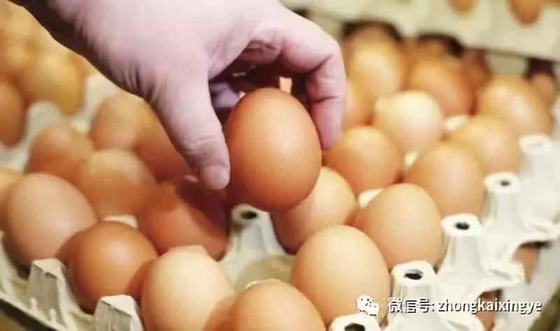 微信图片_20180622170751.jpg 微信图片_20180622170751.jpg