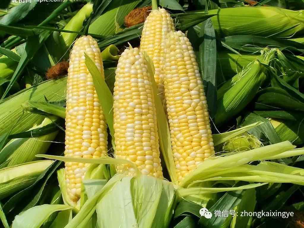 微信图片_20180622171148.jpg 微信图片_20180622171148.jpg