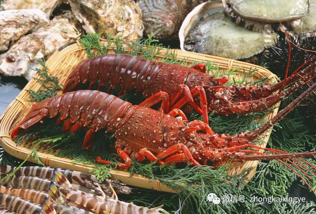 微信图片_20180622171514.jpg 微信图片_20180622171514.jpg