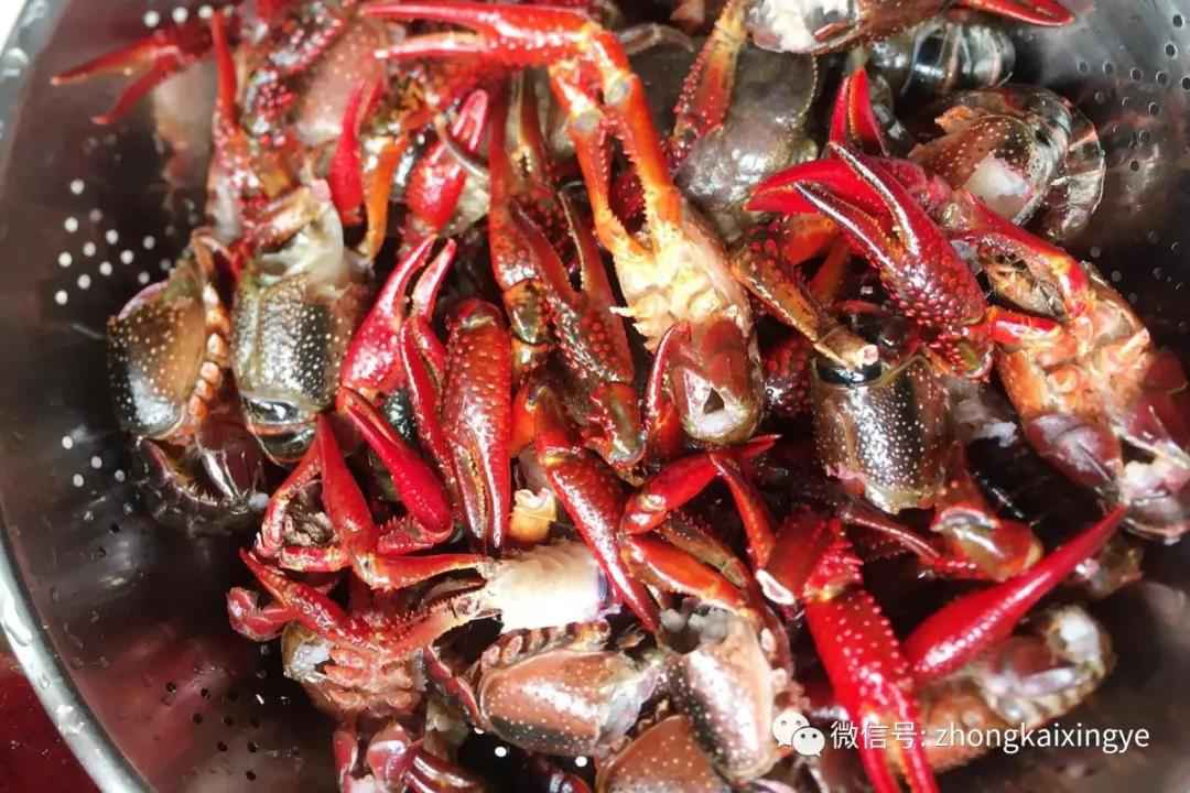 微信图片_20180622171524.jpg 微信图片_20180622171524.jpg